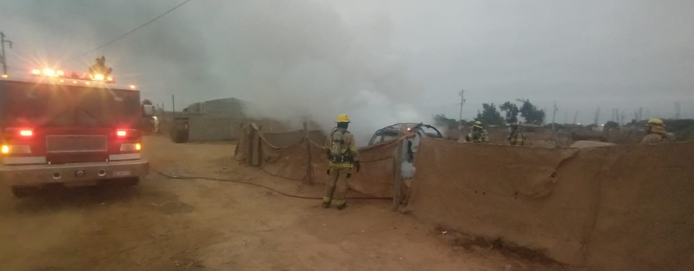 Bomberos controlaron rápidamente la quema de arbustos.