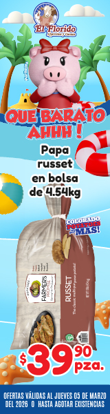 LateralDerecho 160x600