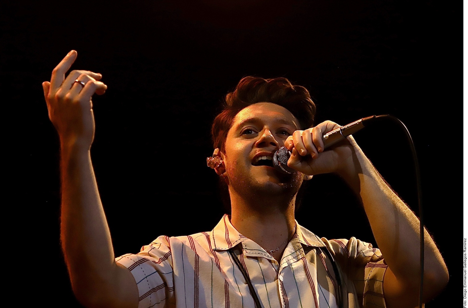 Niall Horan rinde tributo a Payne