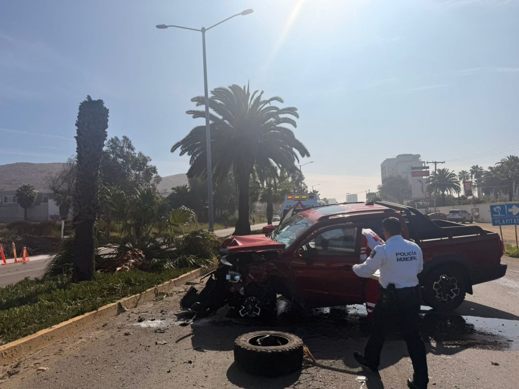 Daño material y lesionados deja choque contra palmera