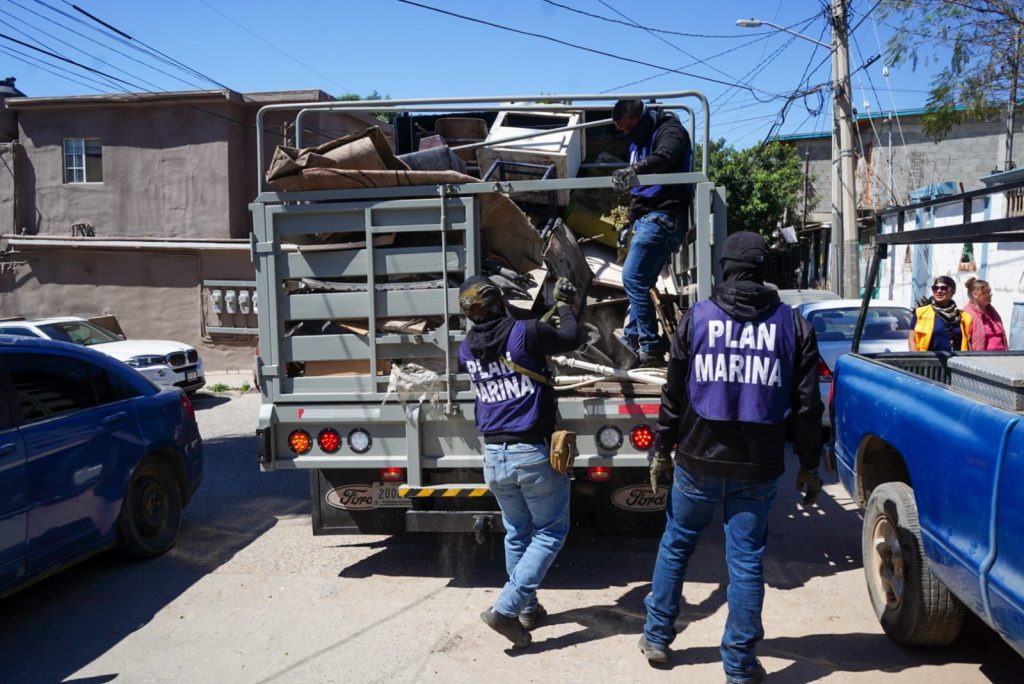 Piden prevenir garrapatas con limpieza de sus patios