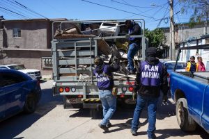 Piden prevenir garrapatas con limpieza de sus patios