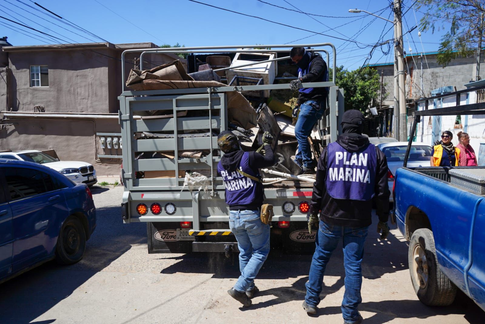 Piden prevenir garrapatas con limpieza de sus patios