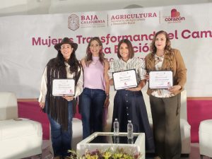 Mujeres en el campo