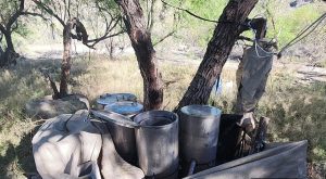 Desmantelan otro narcolaboratorio