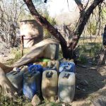 Fuerzas federales y estatales realizaron el decomiso y desmantelamiento de la misma.