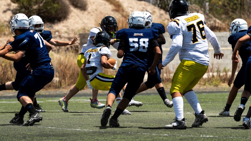 Sharks domina y Osos responde en S8 de OEFA