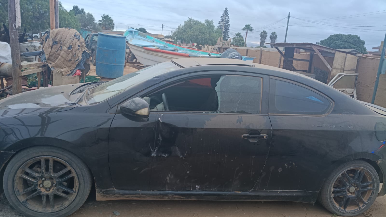 Perros ocasionan accidente de tránsito