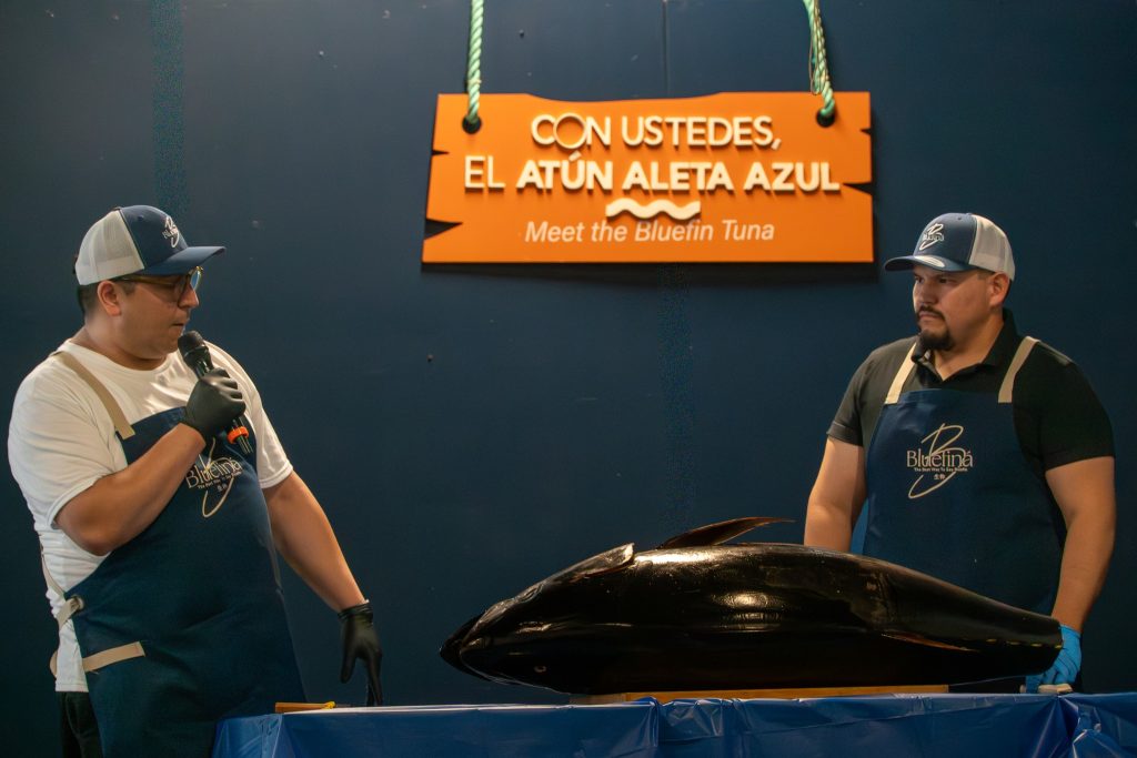 Celebraron en el Caracol Día Internacional del Atún